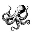 octopus sketch hand drawn vector image