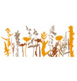 drawing wild flowers vector image vector image