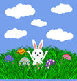 easter bunny and eggs with stickers on the grass vector image