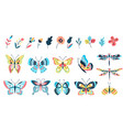 butterflies and flowers isolated branch flower vector image