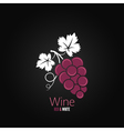 wine grapes design background vector image
