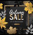autumn big sale typography poster with leaves vector image