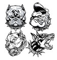 dog head pitbull logo mascot annimal drawing vector image