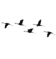 crane flock vector image