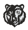 black bear vector image