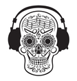 music skull vector image