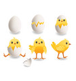 chick hatch from egg little cute yellow bird vector image vector image