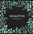 eucalyptus gunnii hand drawn background design vector image