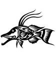 exotic decorative fish predator vector image