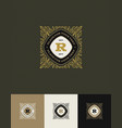 flourishes glitter gold monogram logo vector image