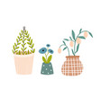 set plants in pots print vector image
