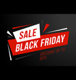 sale poster black friday vector image