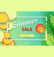 summer sale background layout for banners vector image