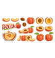 peach set vector image