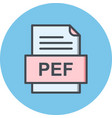 pef file document icon vector image vector image
