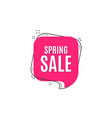spring sale special offer price sign vector image