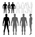 fashion man body full length bald template figure vector image