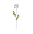 doodle sketch flower vector image vector image