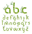 bamboo eco alphabet vector image