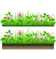 grass border with flowers isolated on white vector image vector image