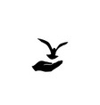 dove bird free with hand pigeon flying peace vector image vector image