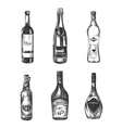 alcoholic drinks in sketch hand drawn style vector image vector image