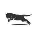 kitten jumping line sketch vector image vector image