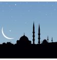 mosque vector image
