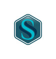 initial letter s shield secure safe secret strong vector image