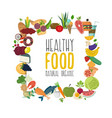 healthy food design with flat vector image vector image