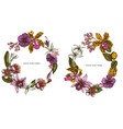 floral wreath colored laelia feijoa flowers vector image vector image
