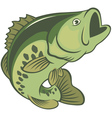 fish bass vector image