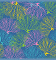seamless pattern with seaweed vector image vector image