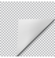 curved corner of paper vector image vector image
