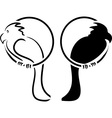 parrot vector image