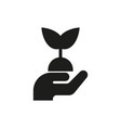 hands holding plant icon on white background vector image