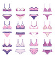 lingerie icon set isolated on white vector image