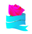 pink rose with blue ribbon on white background vector image vector image