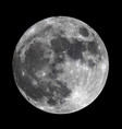 full moon photoreal vector image vector image
