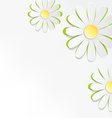 three cutout chamomiles on grayscale floral spring vector image