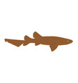 ginglymostoma cirratum - nurse shark - side view vector image vector image