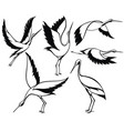 storks vector image