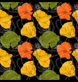 seamless pattern with drawing poppy flowers vector image