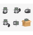 set of cute gray cats with geen eyes vector image
