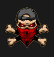 skull in red bandana and black cap vector image