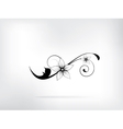 abstract background with floral ornament elements vector image