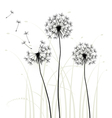 meadow weeds dandelions silhouettes vector image vector image