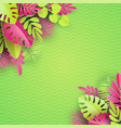 tropical paper palm monstera leaves frame summer vector image