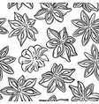 anise seamless pattern vector image