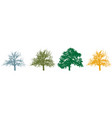 four season tree silhouette with foliage vector image